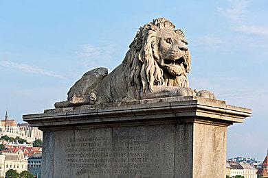 《宝可梦：大集结》叶精灵演示视频 6月8日上线